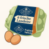 Eier, 6er Pack, frisch